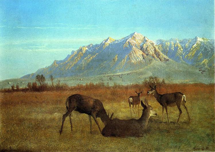 Albert Bierstadt Oil Painting Deer in a Mountain Home